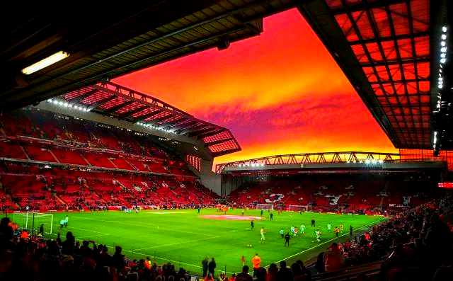 塔皮与血量 塔皮与血量